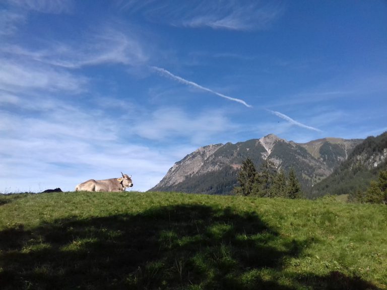 Bergtür