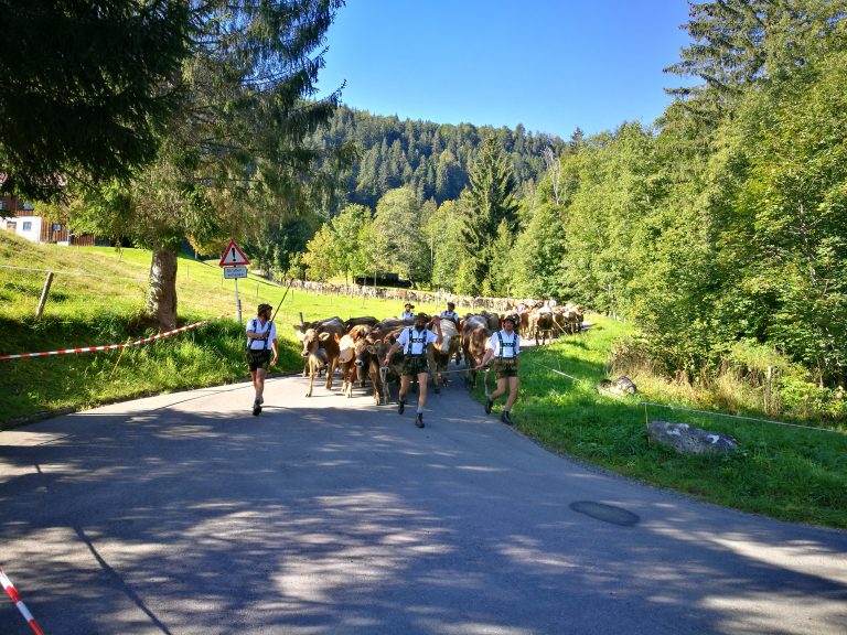 Viehscheid